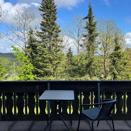 Mountain View Sauerland Отель типа 