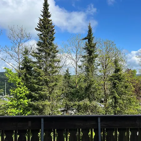 Mountain View Sauerland