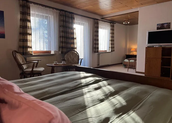 ベッド・アンド・ブレックファスト Mountain View Sauerland 3*