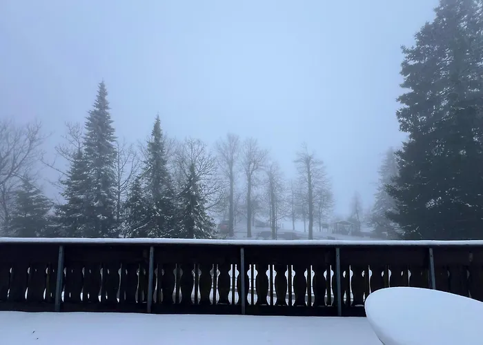 ベッド・アンド・ブレックファスト Mountain View Sauerland