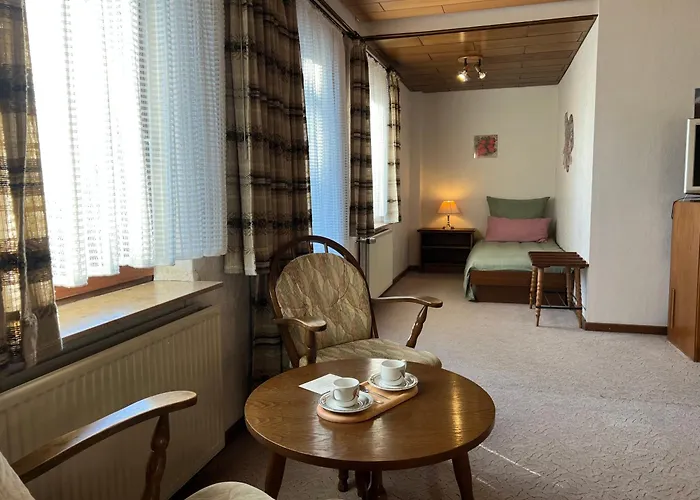 ベッド・アンド・ブレックファスト Mountain View Sauerland 3*